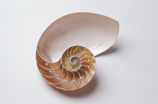 Individuell - wie Sie!