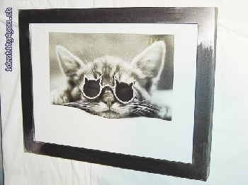 http://www.tonismetalldesign.ch/galerie/cache/vs_Bilderrahmen_PICT0435.jpg